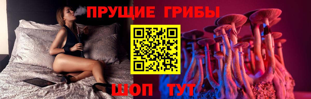 Калуга  где купить наркоту  Вход с VPN  Псилоцибиновые грибы Psilocybine cubensis 